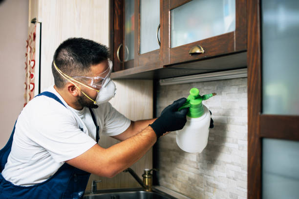 Best Pest Control Near Me  in Wyanet, IL