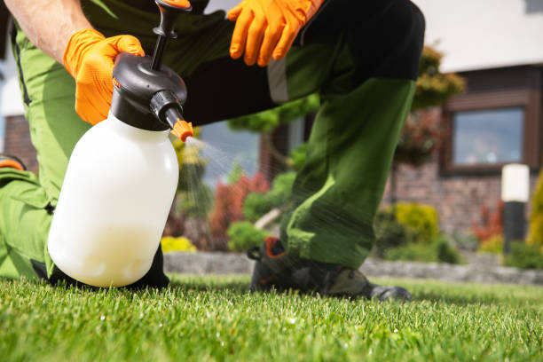 Best Affordable Pest Control Services  in Wyanet, IL