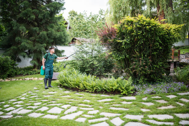 Best Commercial Pest Control Services  in Wyanet, IL
