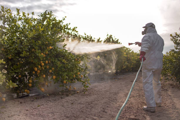 Best Cockroach Control Services  in Wyanet, IL