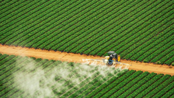 Best Pest Prevention Services  in Wyanet, IL