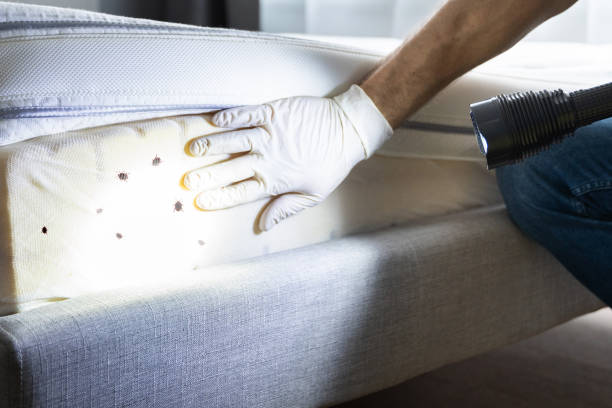 Best Cockroach Control Services  in Wyanet, IL