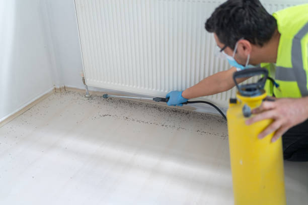 Best Pest Control for Businesses  in Wyanet, IL