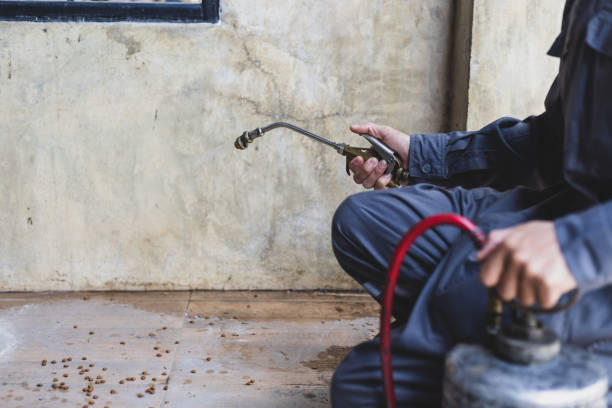 Best Exterminator Services  in Wyanet, IL