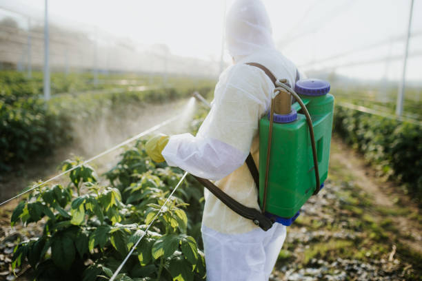 Best Ant Control Services  in Wyanet, IL
